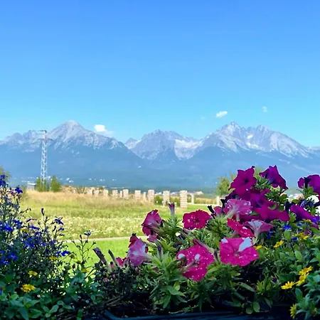 Vysoke Tatry Isc For 17 People With 10 Extra Beds Villa Mlynica